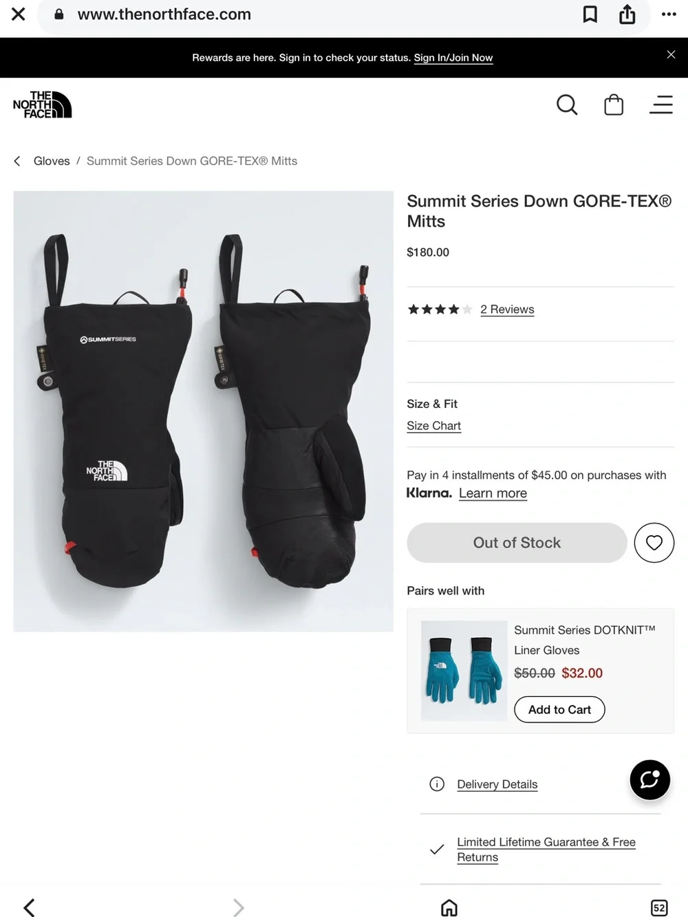 The North Face Black Insulated Ski Mittens